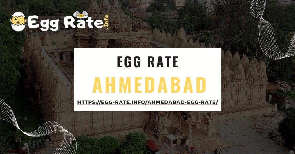 ahmedabad-egg-rate-egg-rate-info