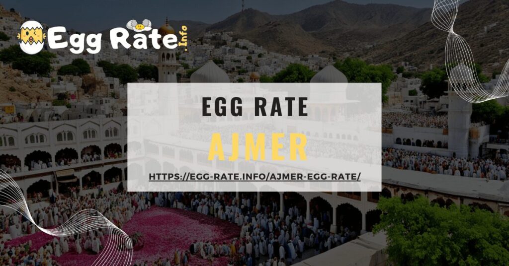 ajmer-egg-rate-egg-rate-info