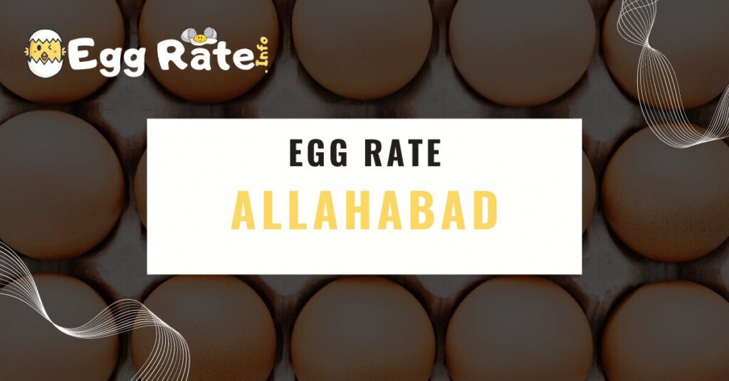 allahabad-egg-rate-egg-rate-info