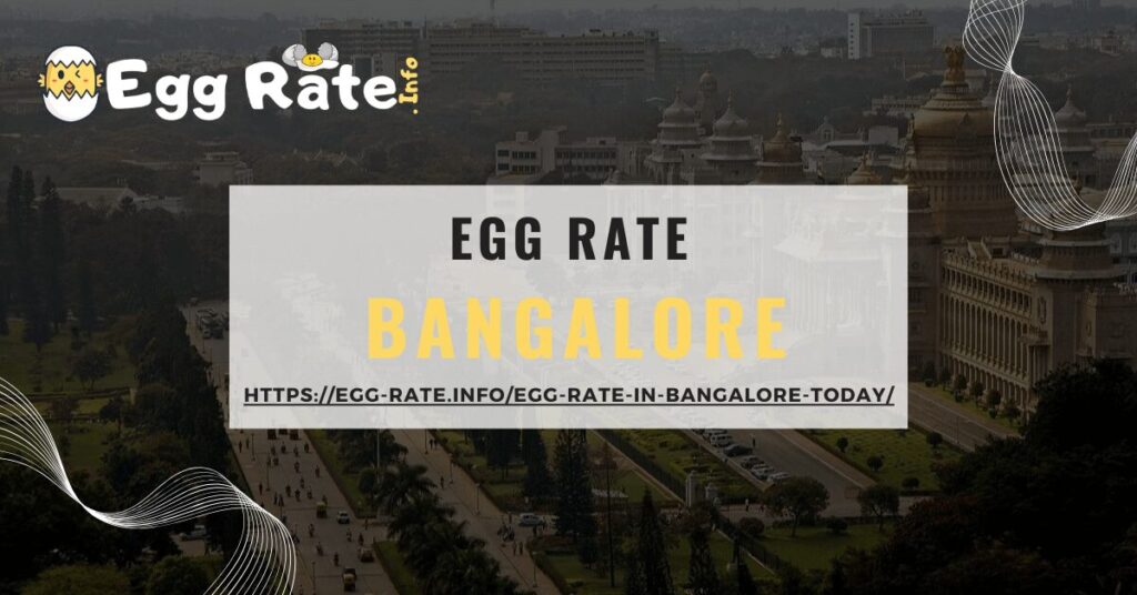 bangalore-egg-rate-egg-rate-info