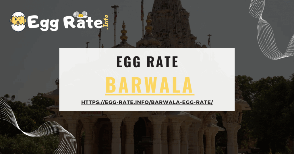 barwala-egg-rate-egg-rate-info