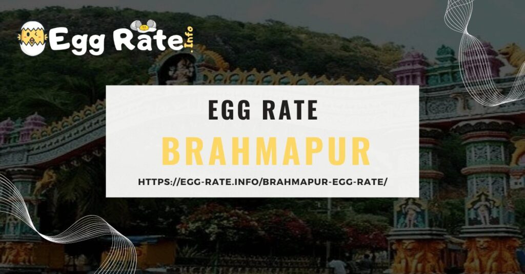 brahmapur-egg-rate-egg-rate-info