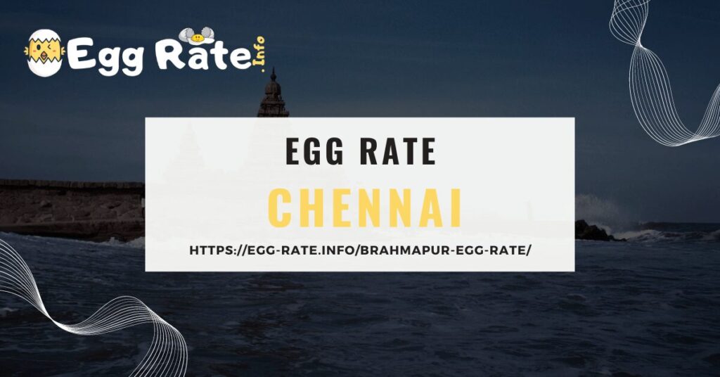 chennai-egg-rate-egg-rate-info