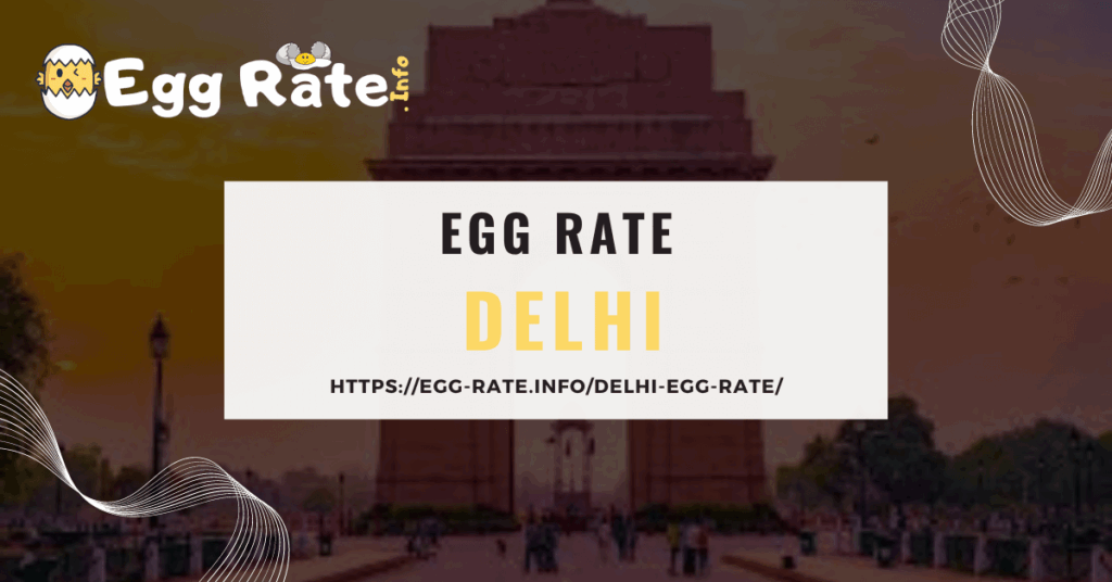 delhi-egg-rate-egg-rate-info