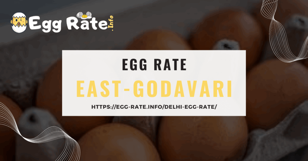 east-godavari-egg-rate-egg-rate-info