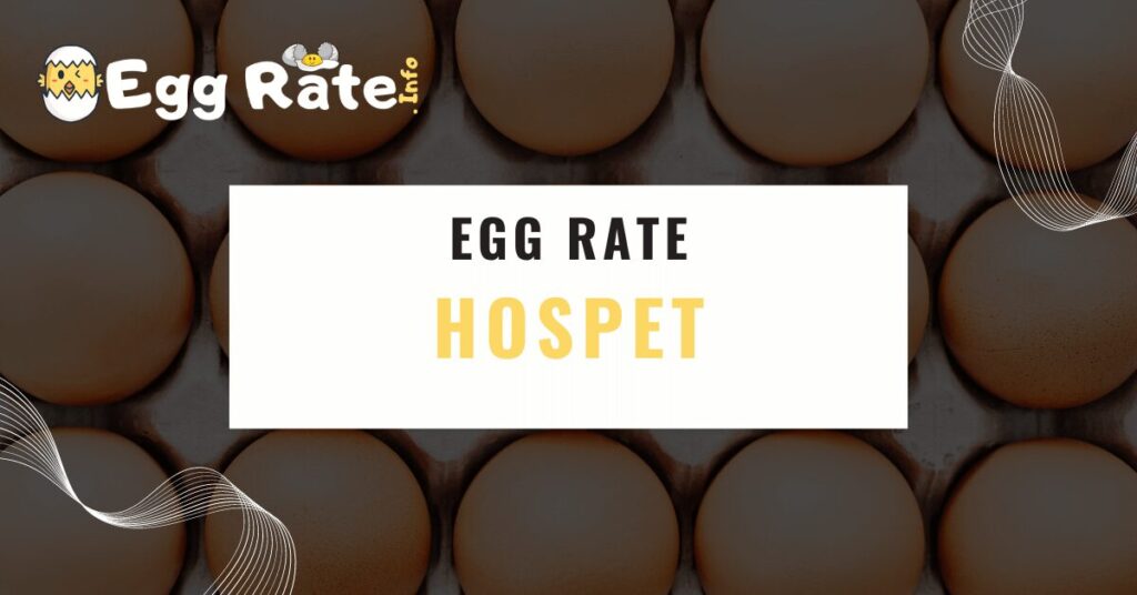 hospet-egg-rate-egg-rate-info