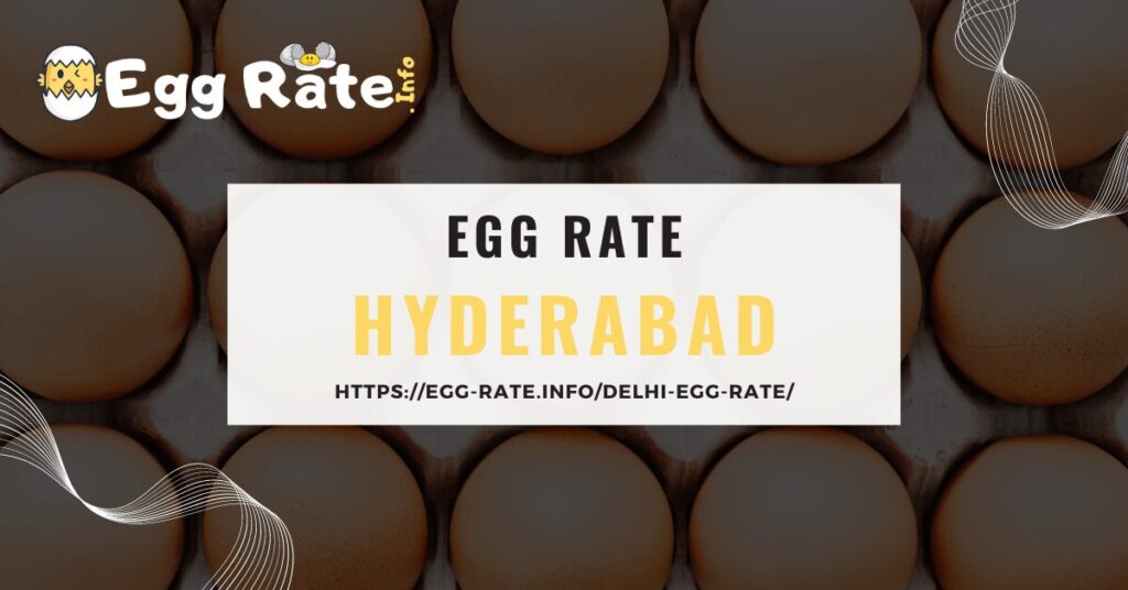 hyderabad-egg-rate-egg-rate-info
