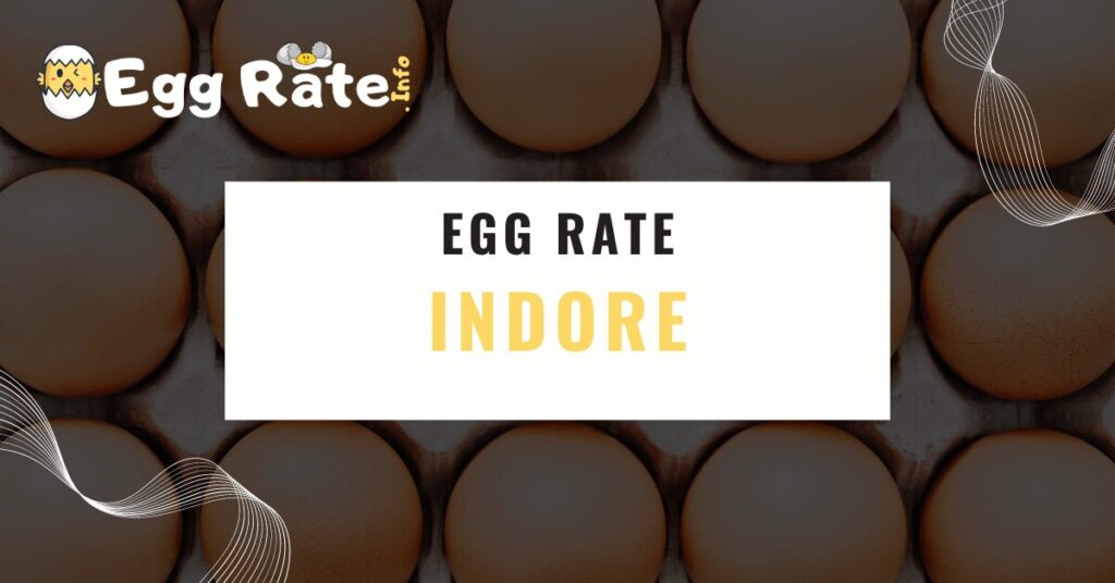 indore-egg-rate-egg-rate-info