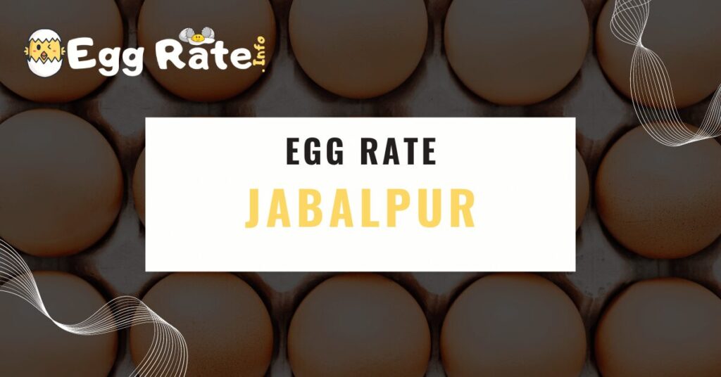 jabalpur-egg-rate-egg-rate-info