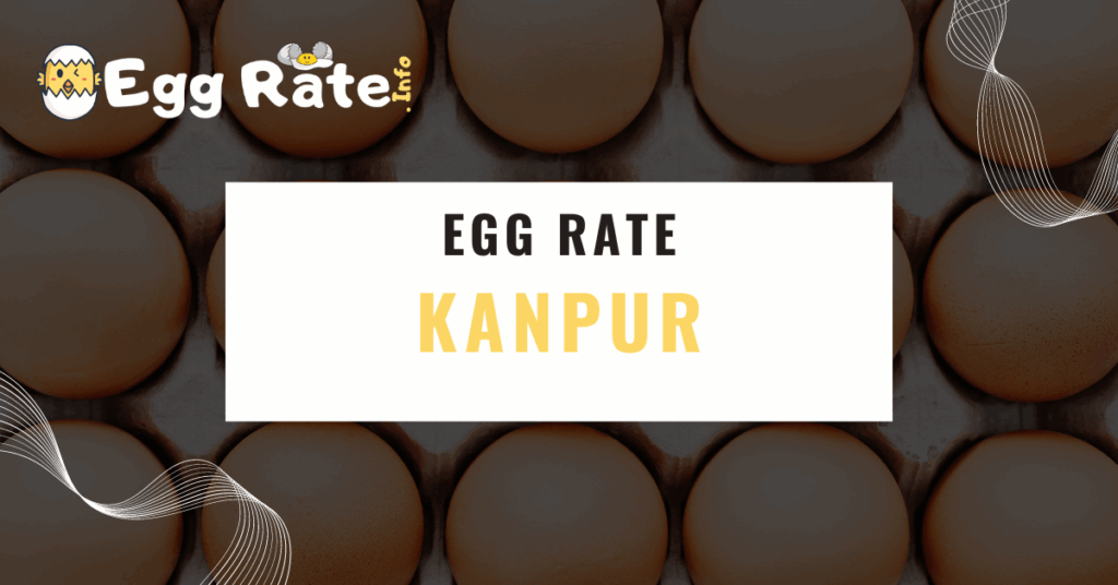 kanpur-egg-rate-egg-rate-info