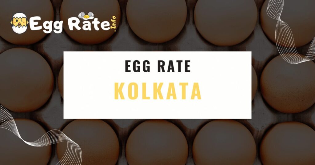 kolkata-egg-rate-egg-rate-info