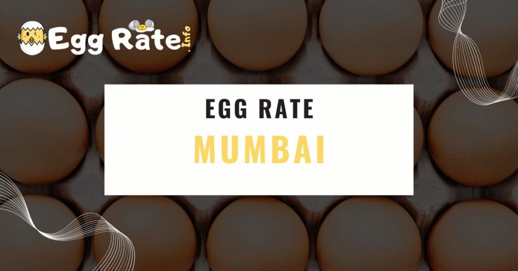 mumbai-egg-rate-egg-rate-info