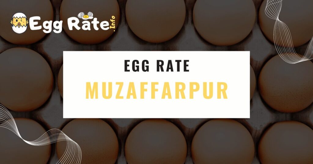 muzaffarpur-egg-rate-egg-rate-info