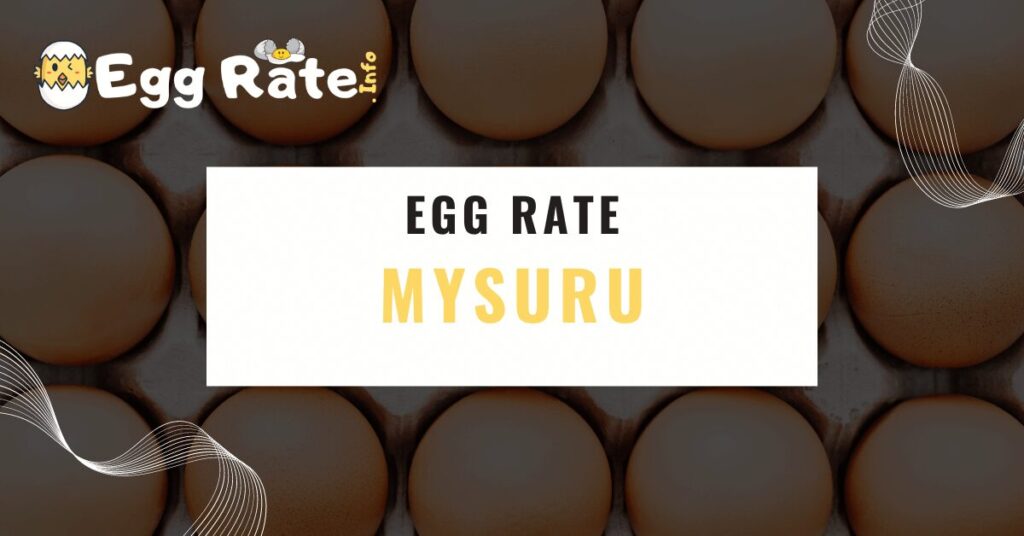 mysuru-egg-rate-egg-rate-info