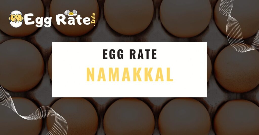 namakkal-egg-rate-egg-rate-info