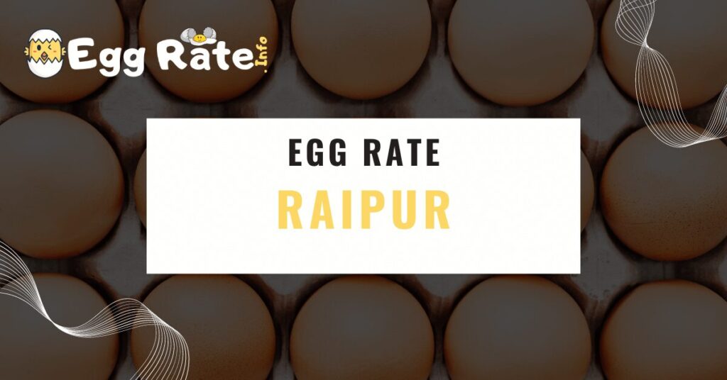 raipur-egg-rate-egg-rate-info