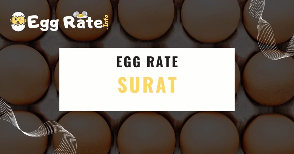 surat-egg-rate-egg-rate-info