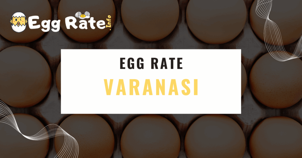 varanasi-egg-rate-egg-rate-info