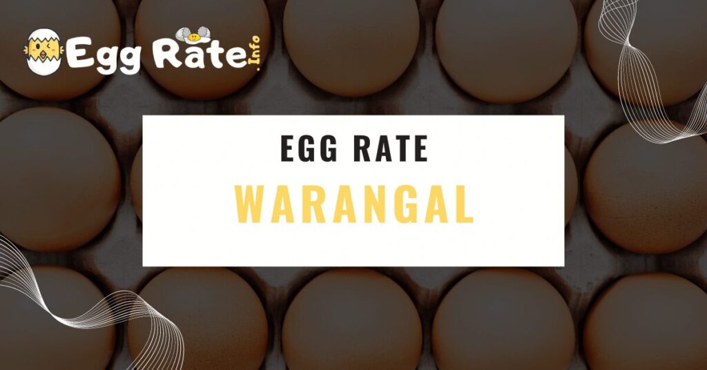 warangal-egg-rate-egg-rate-info
