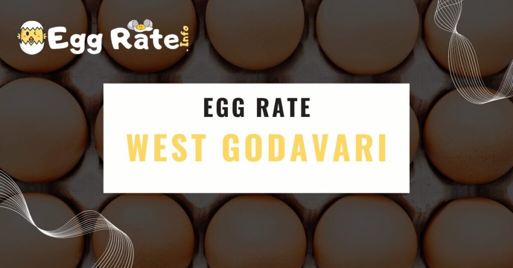 west-godavari-egg-rate-egg-rate-info